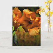 Gladioli, kaart (Gele Bloem)