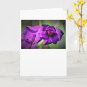 Gladioli, kaart (Gele Bloem)