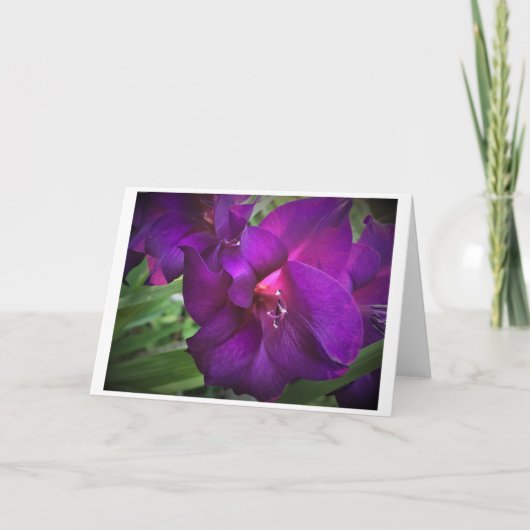 Gladioli, kaart (Voorkant)