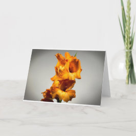 Gladioli Kaart