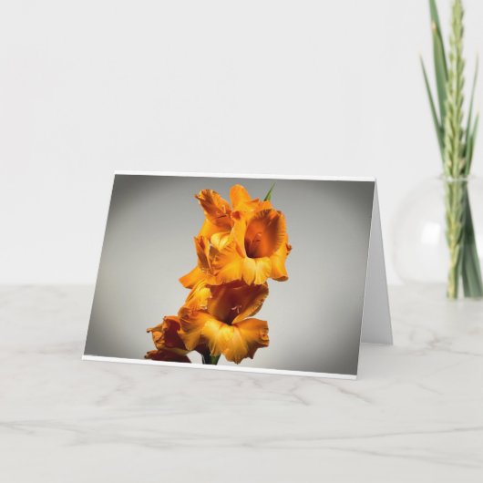 Gladioli Kaart (Voorkant)