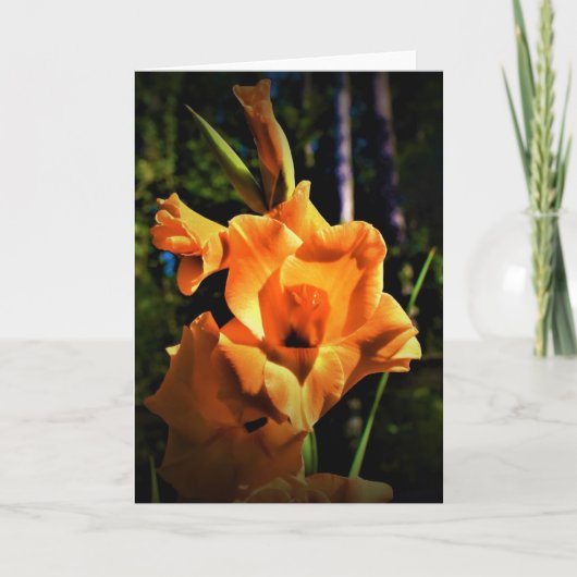 Gladioli, kaart (Voorkant)