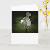 Gladioli, kaart (Gele Bloem)