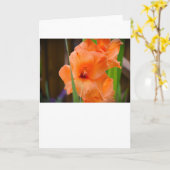 Gladioli, kaart (Gele Bloem)