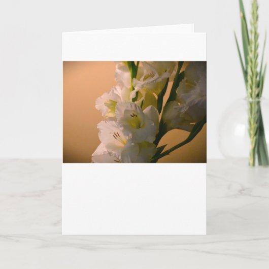 Gladioli, kaart (Voorkant)
