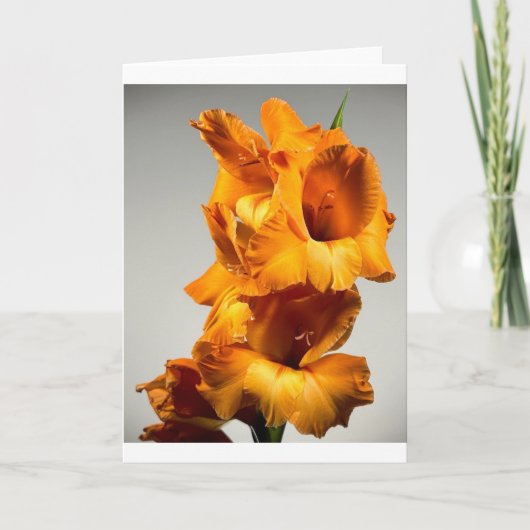 Gladioli Kaart (Voorkant)