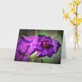 Gladioli, kaart (Gele Bloem)
