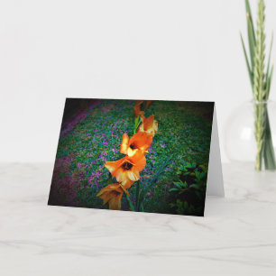 Gladioli, kaart