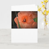 Gladioli, kaart (Gele Bloem)