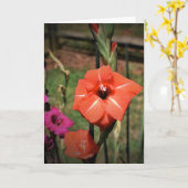 Gladioli, kaart (Gele Bloem)