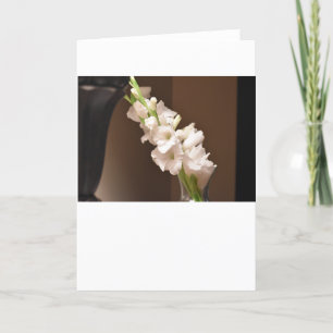 Gladioli, kaart