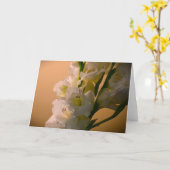 Gladioli, kaart (Gele Bloem)