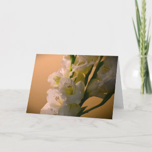 Gladioli, kaart