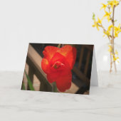 Gladioli, kaart (Gele Bloem)