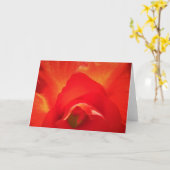 Gladioli, kaart (Gele Bloem)