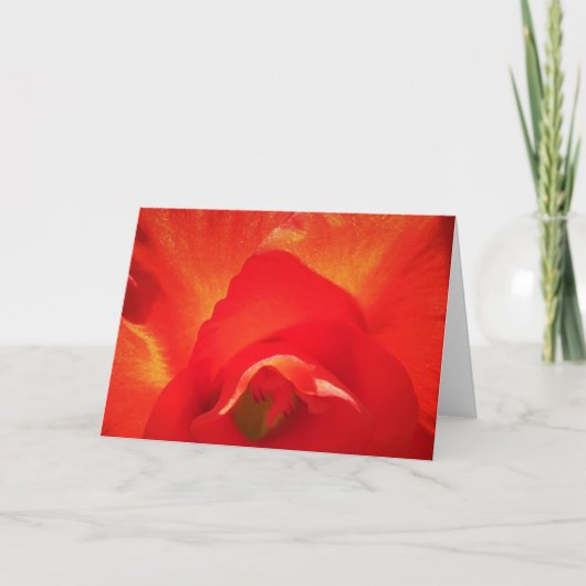 Gladioli, kaart (Voorkant)
