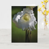 Gladioli, kaart (Gele Bloem)