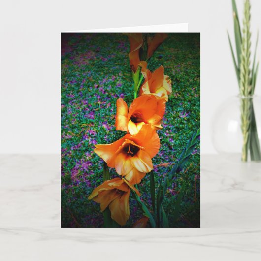 Gladioli, kaart (Voorkant)