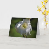 Gladioli, kaart (Gele Bloem)