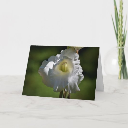 Gladioli, kaart (Voorkant)