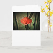 Gladioli, kaart (Gele Bloem)