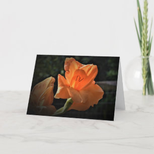 Gladioli, kaart