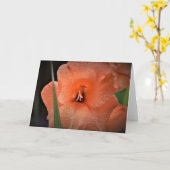 Gladioli, kaart (Gele Bloem)