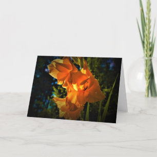 Gladioli, kaart