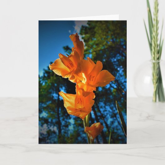 Gladioli, kaart (Voorkant)