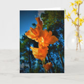 Gladioli, kaart (Gele Bloem)