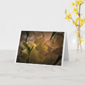 Gladioli, kaart (Gele Bloem)