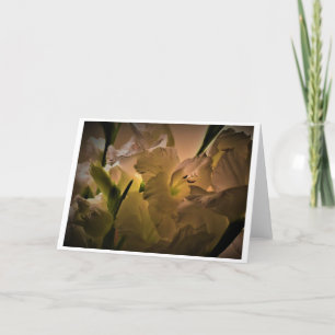 Gladioli, kaart