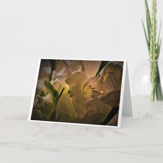 Gladioli, kaart (Voorkant)