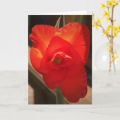 Gladioli, kaart (Gele Bloem)