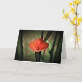 Gladioli, kaart (Gele Bloem)