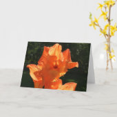 Gladioli, kaart (Gele Bloem)