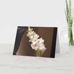 Gladioli, kaart