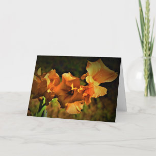 Gladioli, kaart
