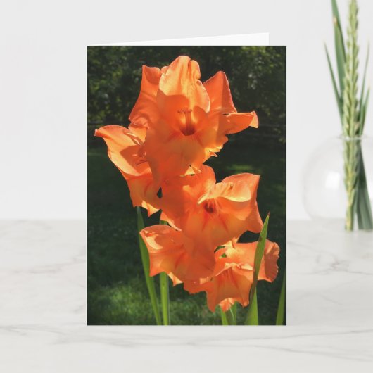 Gladioli, kaart (Voorkant)
