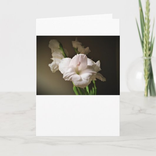 Gladioli, kaart (Voorkant)