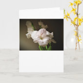 Gladioli, kaart (Gele Bloem)