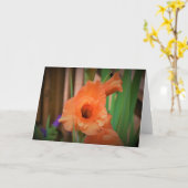 Gladioli, kaart (Gele Bloem)