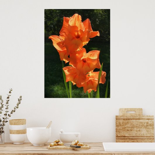 Gladioli Poster (Keuken)