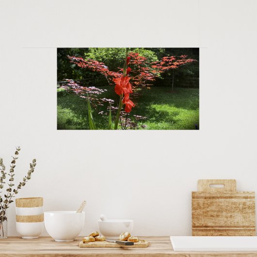 Gladioli Poster (Keuken)