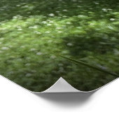 Gladioli Poster (Hoek)