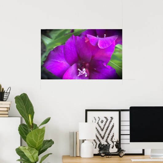 Gladioli Poster (Thuiskantoor)
