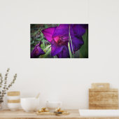 Gladioli Poster (Keuken)