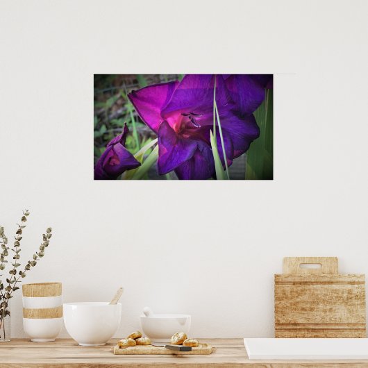 Gladioli Poster (Keuken)