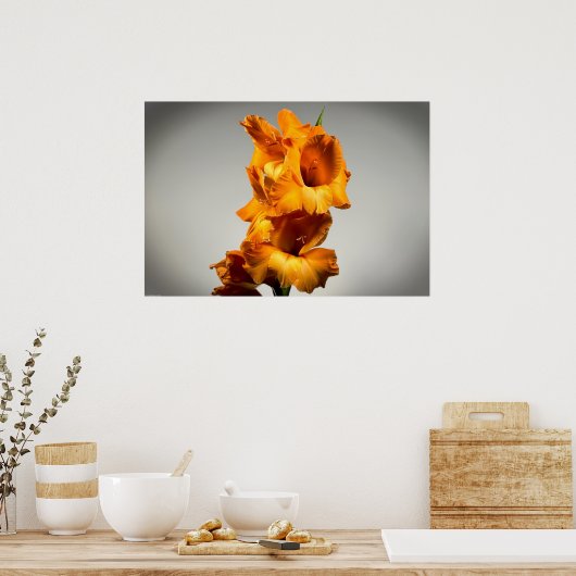 Gladioli Poster (Keuken)