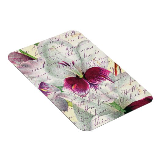 Gladiolus Art Calligrafie collage Magneet (Rechterzijde)